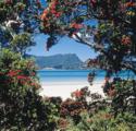 Whangarei Heads Whangarei Heads